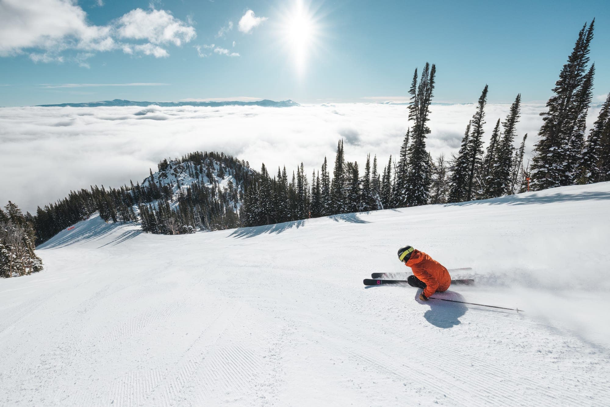 Expert Steeps